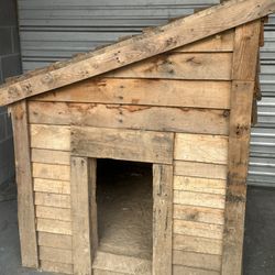 Massive Dog House