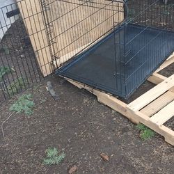 Dog Kennel