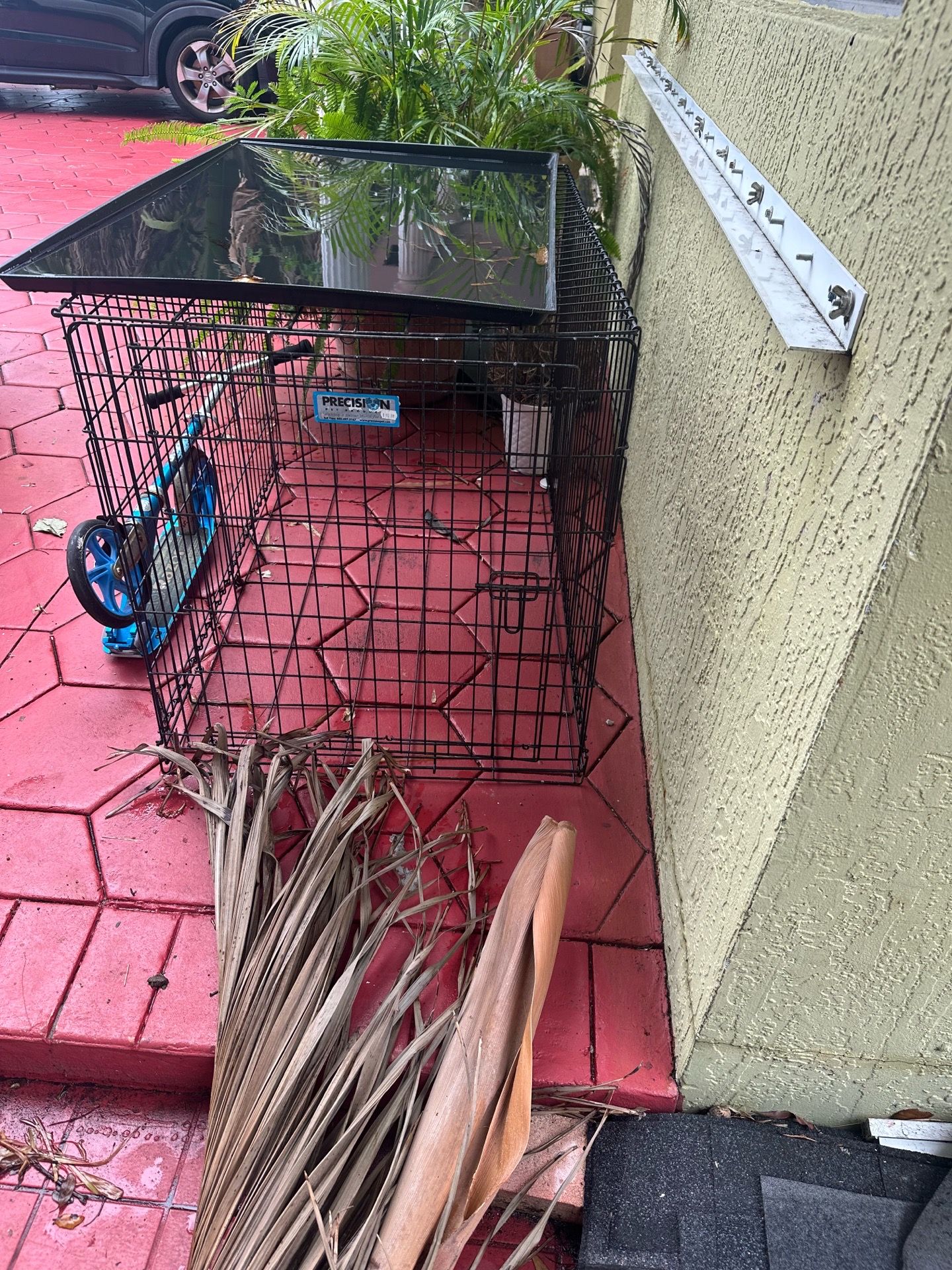 Dogs items