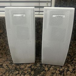 Bose 251 Environmental Weatherproof Outdoor Speaker