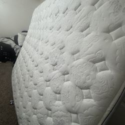 Bed cal king shoot offers please