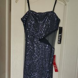 Beautiful Slate Blue Gown / Dress (NWT)