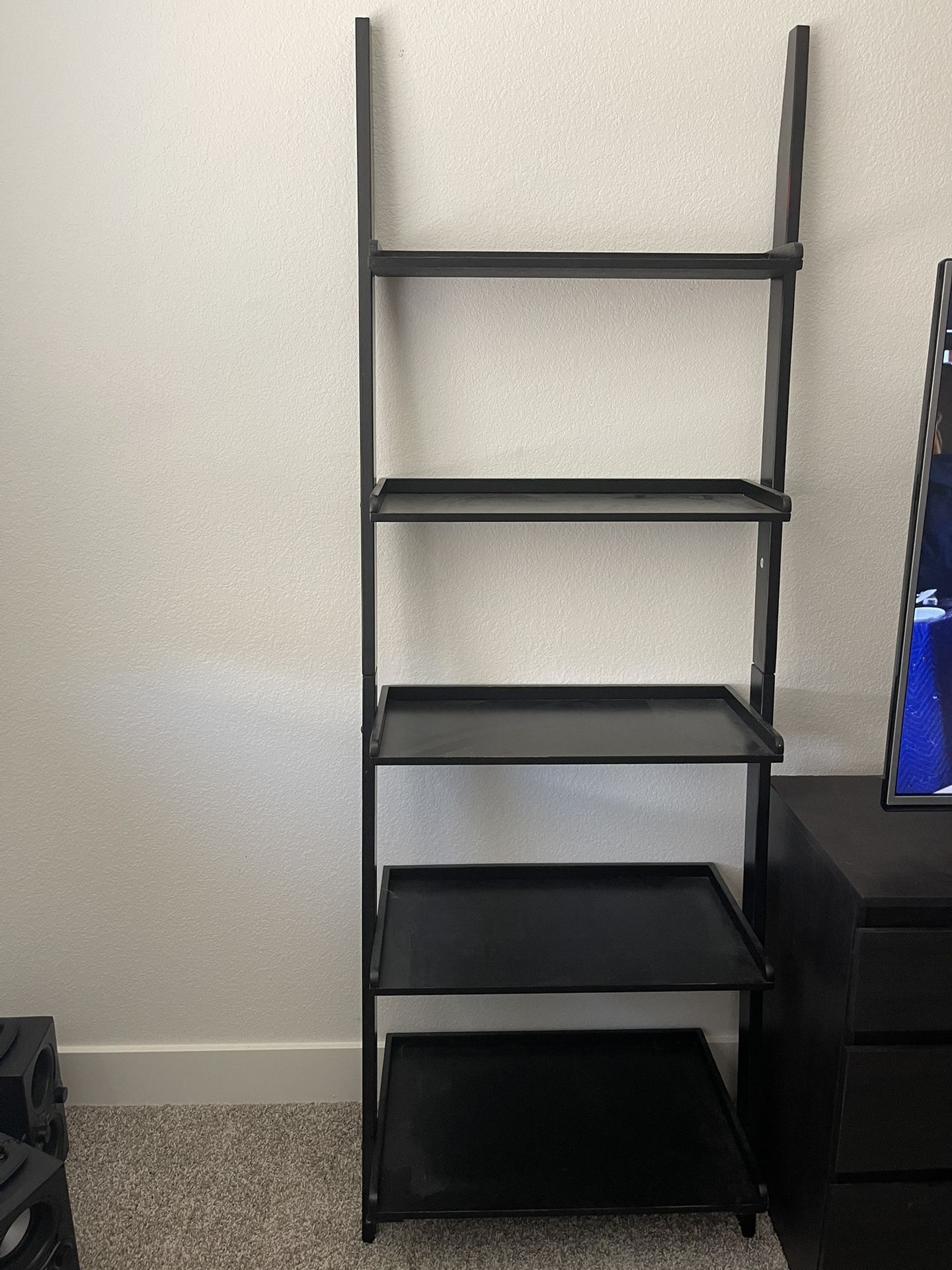 Ladder Shelf