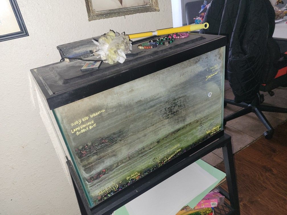 Fish Tanks 