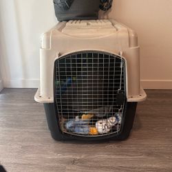 Kennel Plus Essentials For Big Dogs 