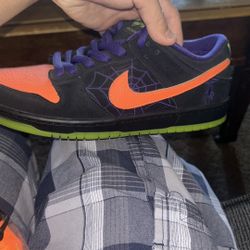 Nike sb shoes