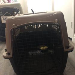 Pets for Sale in Ontario, CA - OfferUp