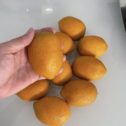 10 Artificial Lemons Home Decoration