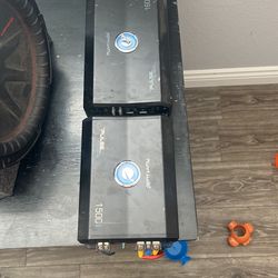 12inch kicker W 2 amps