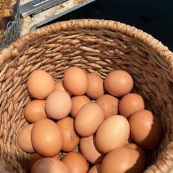 Eggs