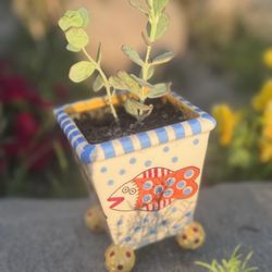 Fish Vase Succulent Plant Arrangement 