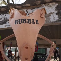 Dog Harness All Sizes 100% Leather  Custom With  Name Pecheras Para Perros Todas Las Medidas 