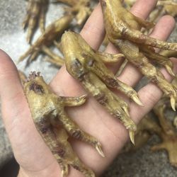 Dog treat chicken paws 100% natural (homemade, no additives)