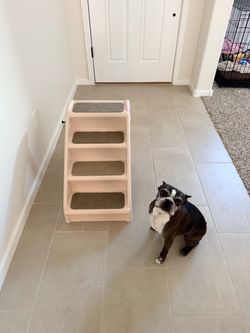 Dog Stairs 4-Step Dog Steps