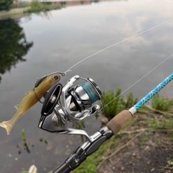 STRADIC 3000, STRADIC 2500, Custom 7’6, Redbone 7’