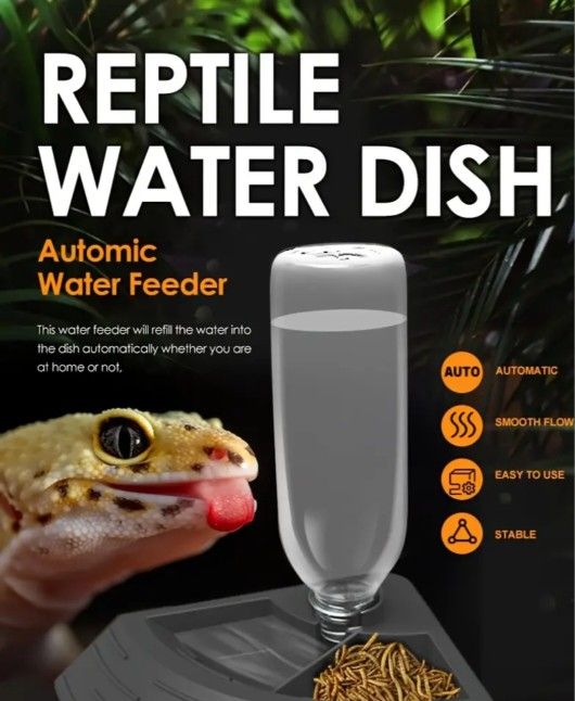 Reptile Water / Feeder Dishes