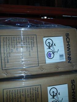 Schwinn beach cruiser