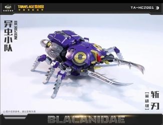Cang-Toys TA-HCZ001 Transage Blacanidae transformers 3rd party insecticon