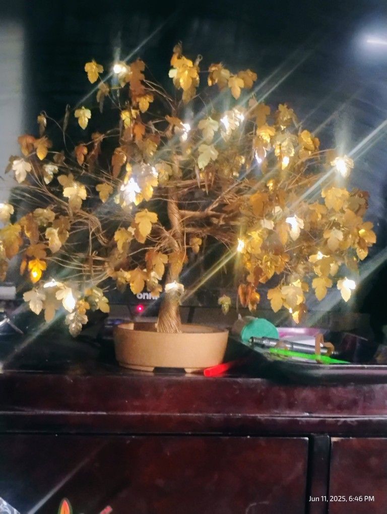 Vintage Oak Tree