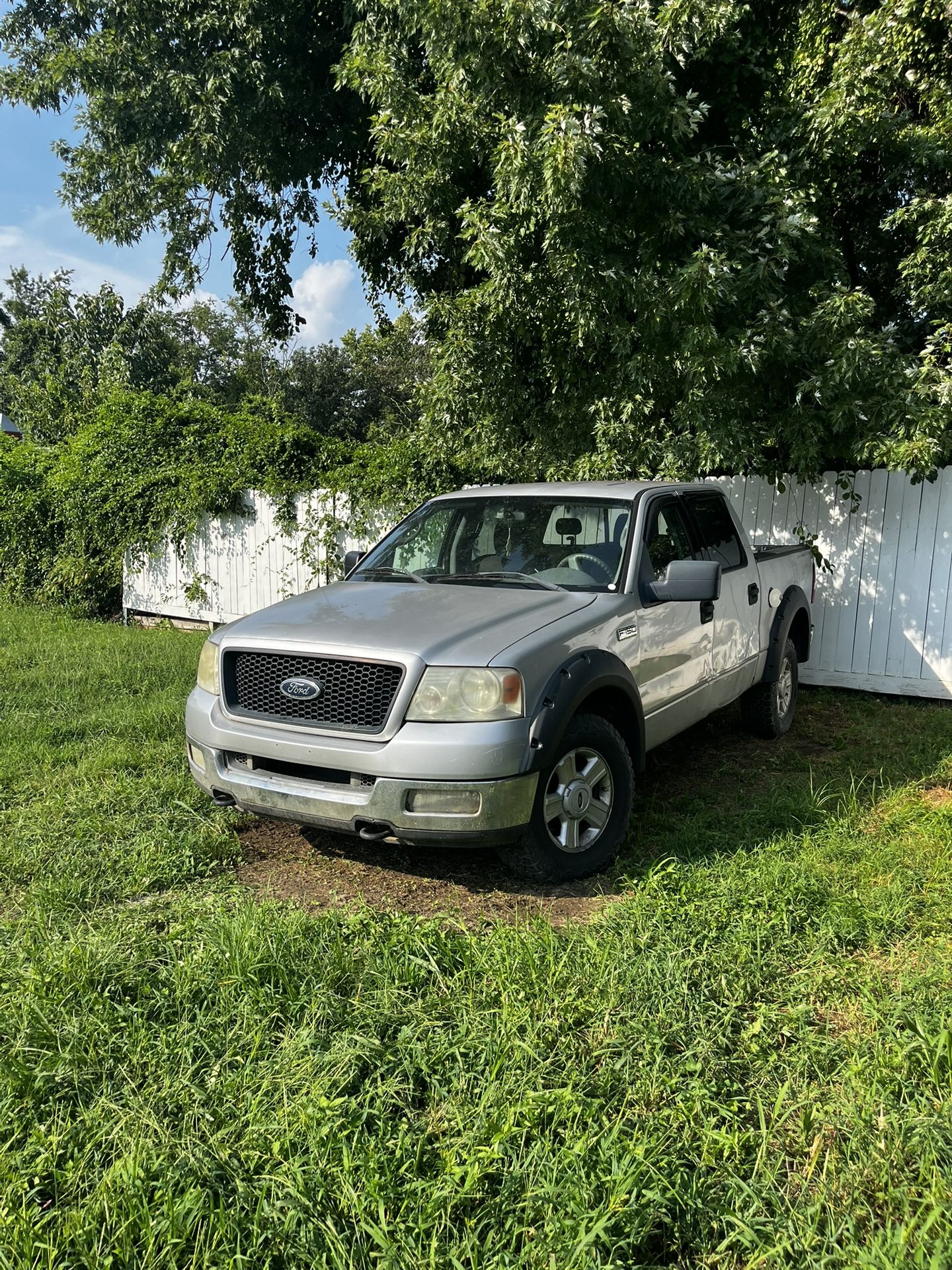 2004 Ford F-150