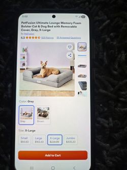 XL Pet Fusion Dog Bed
