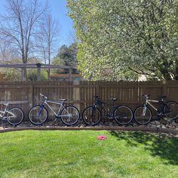 Perfect Bikes For The Family 