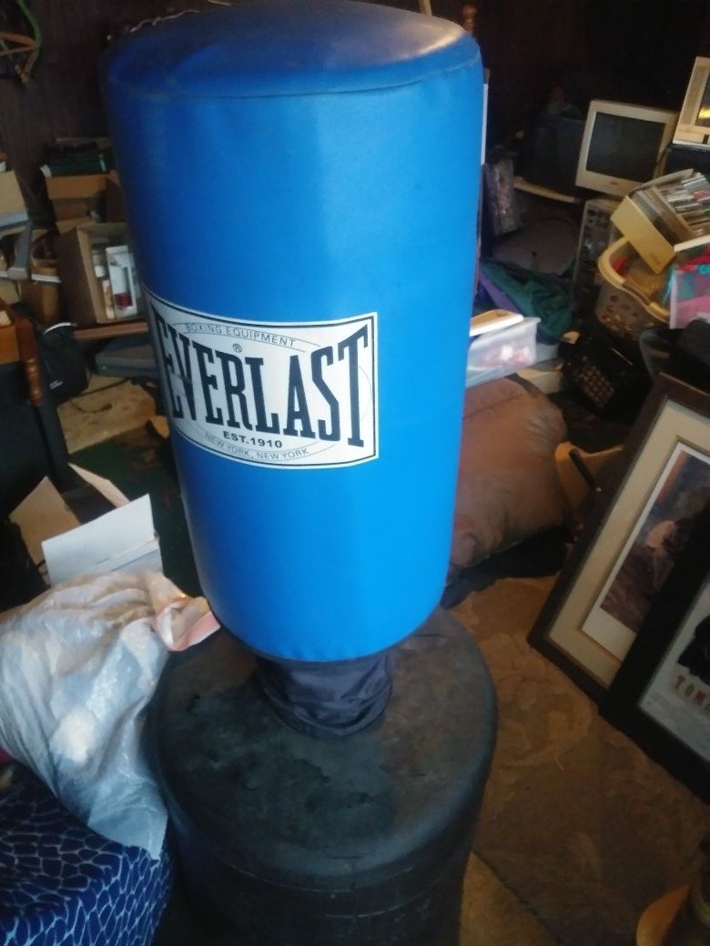 Everlast punching bag