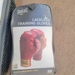 Everlast Boxing Gloves