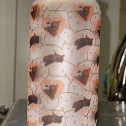 Glass Tumblers