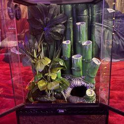 NEW BAMBOO FORREST EXO TERRA TERRARIUM- FLASH DEAL!!