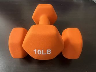 💥 Dumbbell Clearance – 20LB  