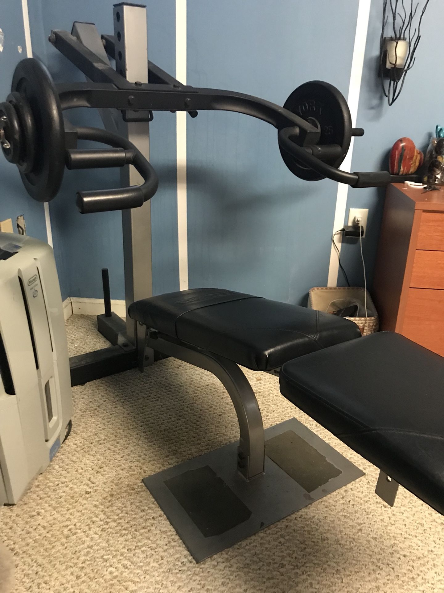 Champs sports predator weight bench sale