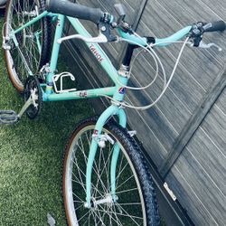 Vintage Fuji Tahoe Mountain Bike 