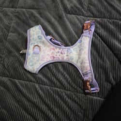 Small Dog Harness