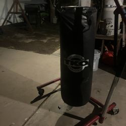 Punching Bag