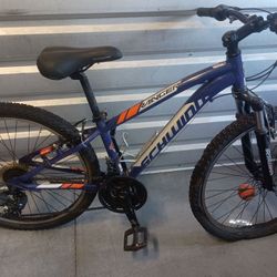 Schwinn Ranger Mtn Bike/Cruiser