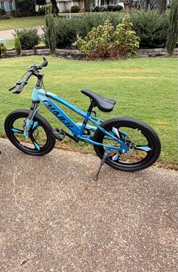 Thayer Kids Bike Blue with Mag Wheels