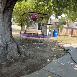 Pink Trampoline