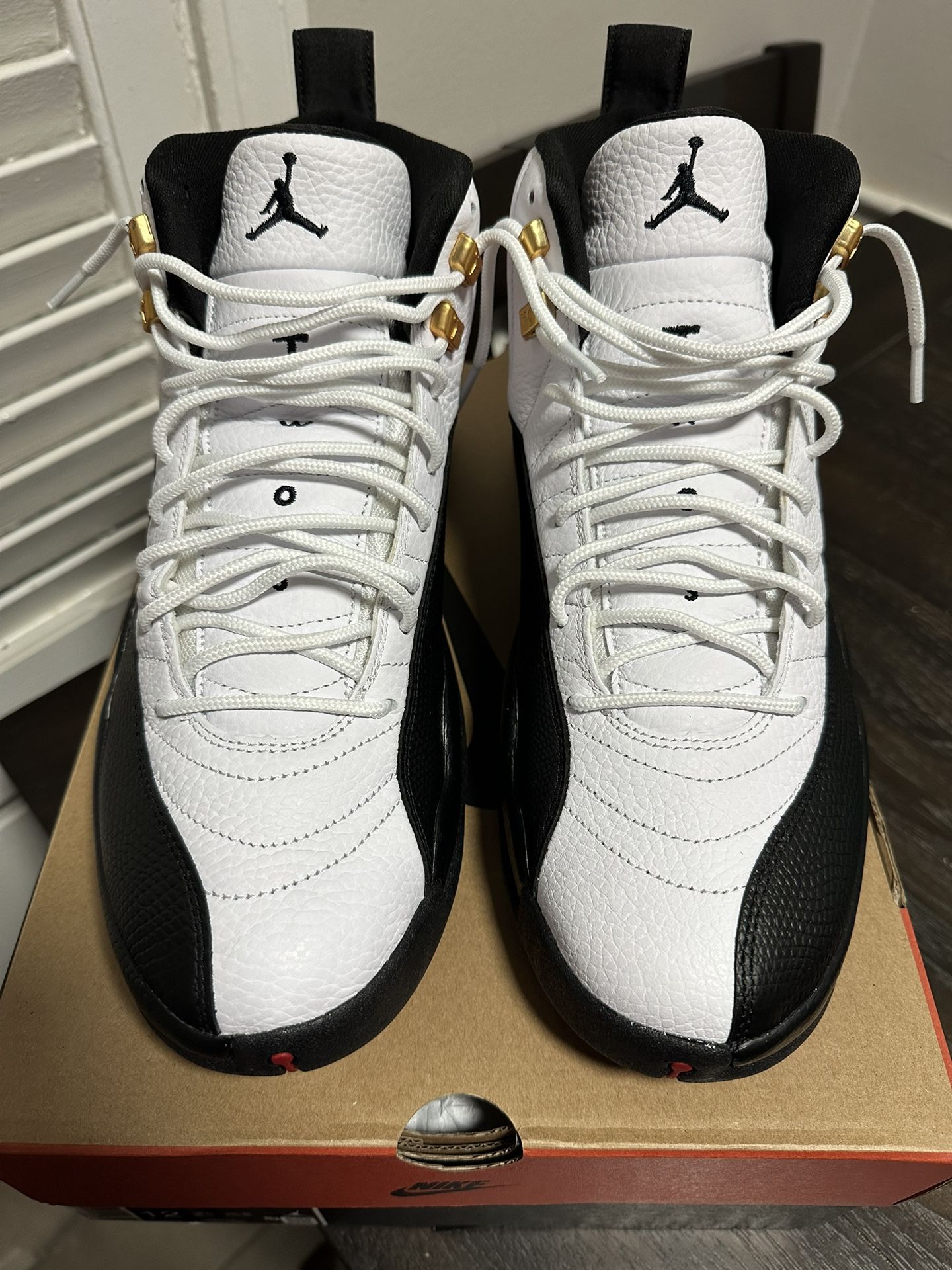 Jordan 12 Taxi
