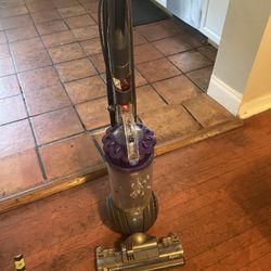 Dyson DC41 Animal One Vacuum