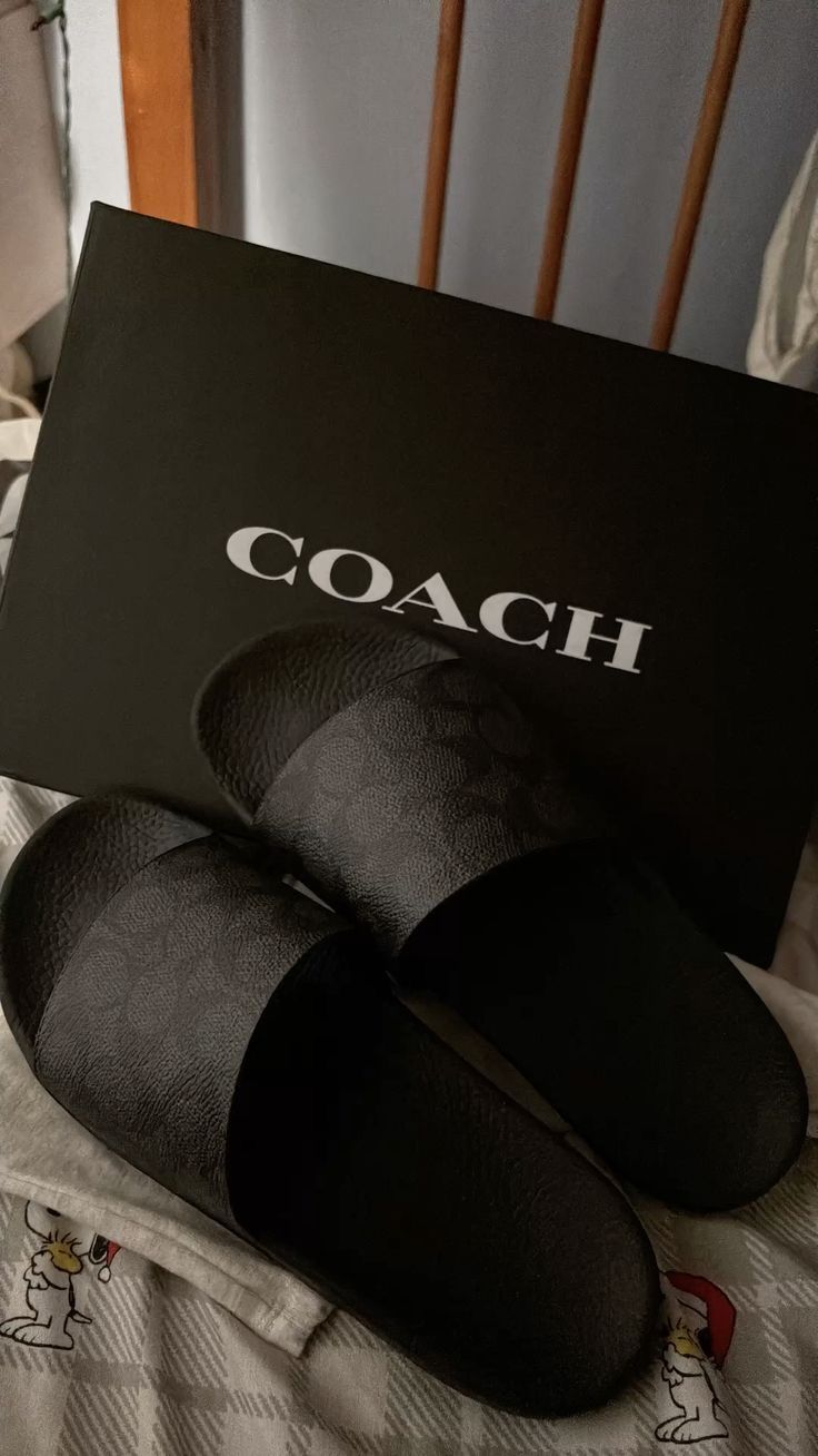 coach slides