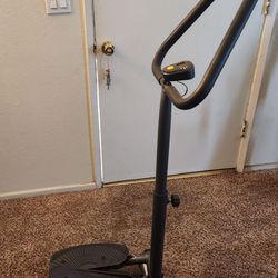 ziwwvy twist stepper