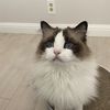 Jun