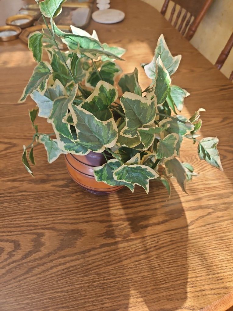 Fake Plant