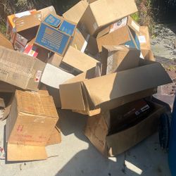 Free Moving or Storage Boxes