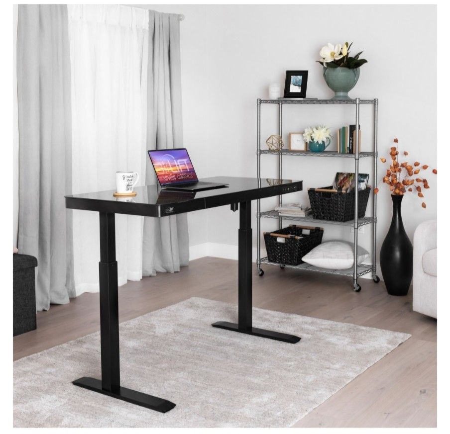 Electric Lift Stand Up Desk Like New. 