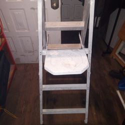 4ft Aluminum Ladder