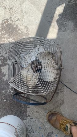 Fan