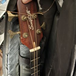 2 Bass Guitars 1 Electric 1 Acoustic Take Both 