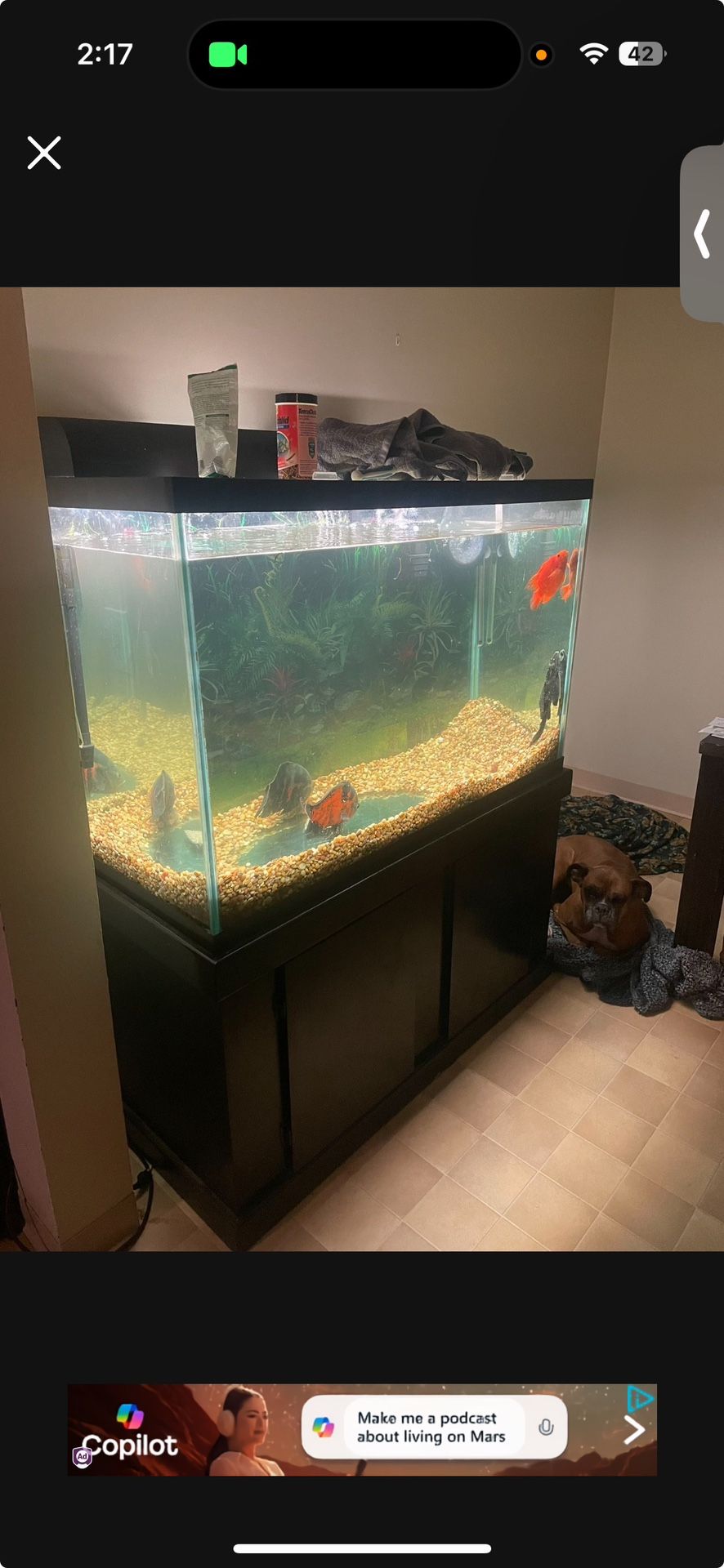 Fish Tank With All The Accessories